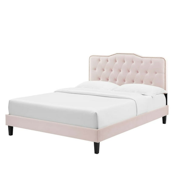 Platform Bed Frame, Tufted, Rivet Nailhead, King, Pink, Velvet, Bedroom, Modern Contemporary Boutique HB35344