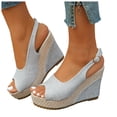 thumbnail image 1 of Platform Espadrilles for Women Open Toe Wedge Sandals Nonslip Casual Slingback Heels Adjustable Strap Summer Footwear Silver Size 9.5, 1 of 6