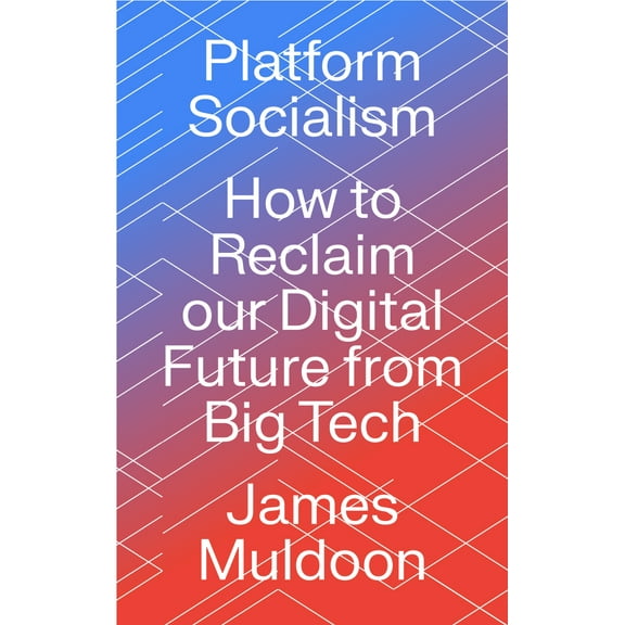 Platform Socialism : How to Reclaim our Digital Future from Big Tech (Paperback)