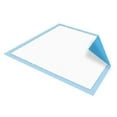 thumbnail image 1 of Platinum Disposable Care Pads Underpads, 17 x 24 In, 300 Count, 1 of 6