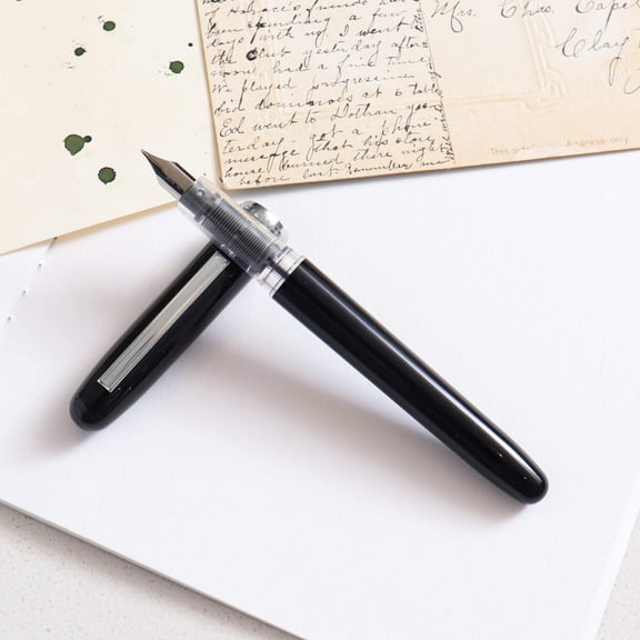 Platinum Plaisir Fountain Pen - Black, Medium