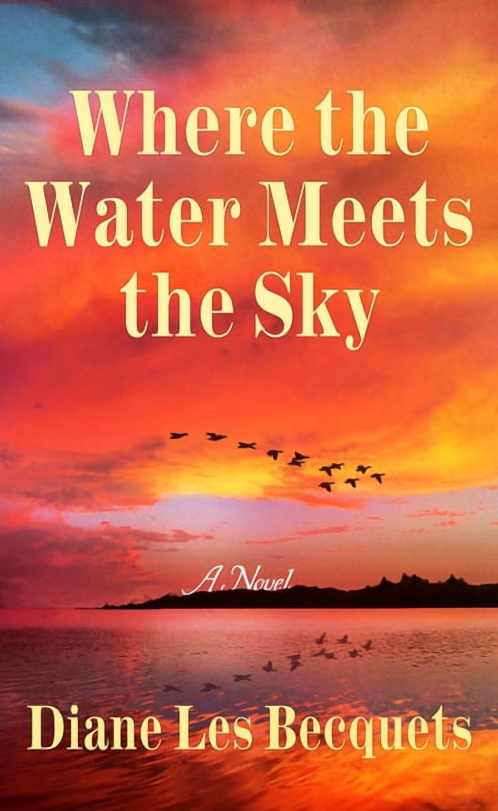 Platinum Spotlight Where the Water Meets the Sky, (Hardcover)