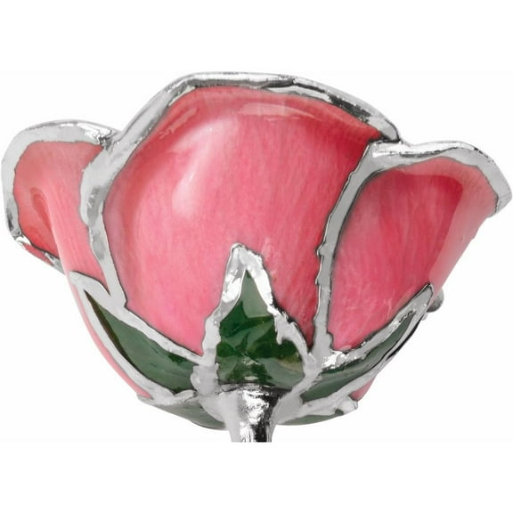 Platinum Trim Pink Lacquer Real Rose Valentine's Day Holiday Gift