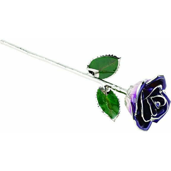 Platinum Trim Purple Lacquer Real Rose Valentine's Day Holiday Gift