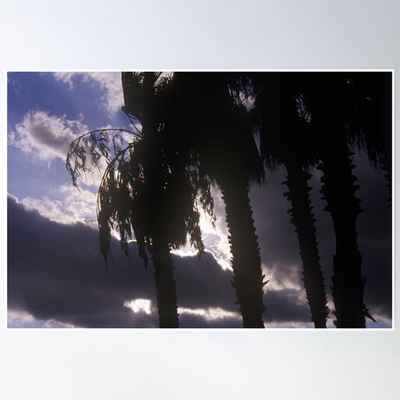 Platja De La Barceloneta, Barcelona 2010 Poster Wall Art, Modern Wall Decor, 16x24 UNFRAMED