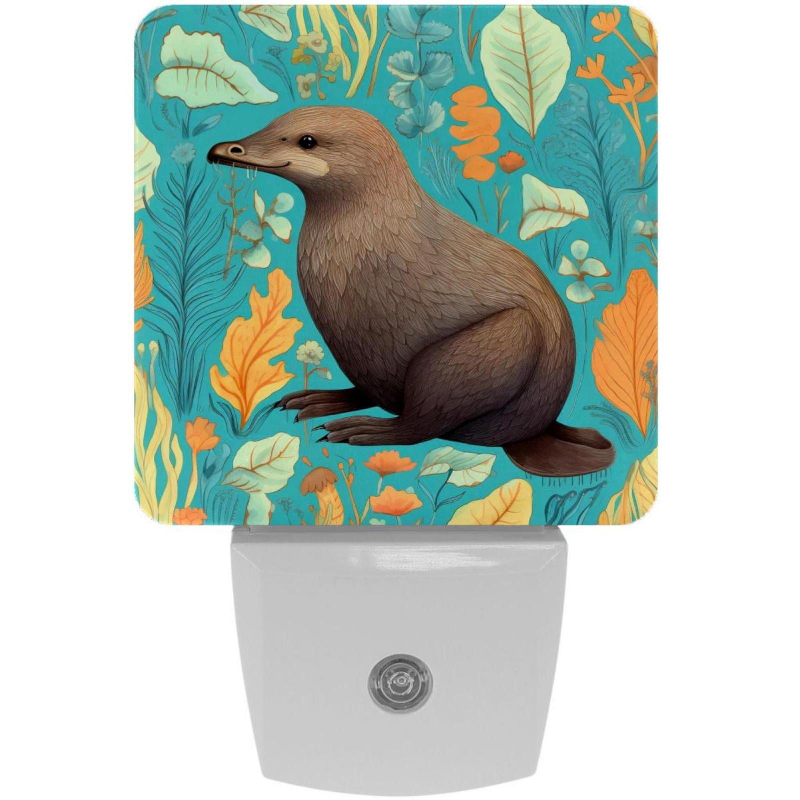 Platypus LED Square Night Lights - Modern and Versatile Plug-in ...