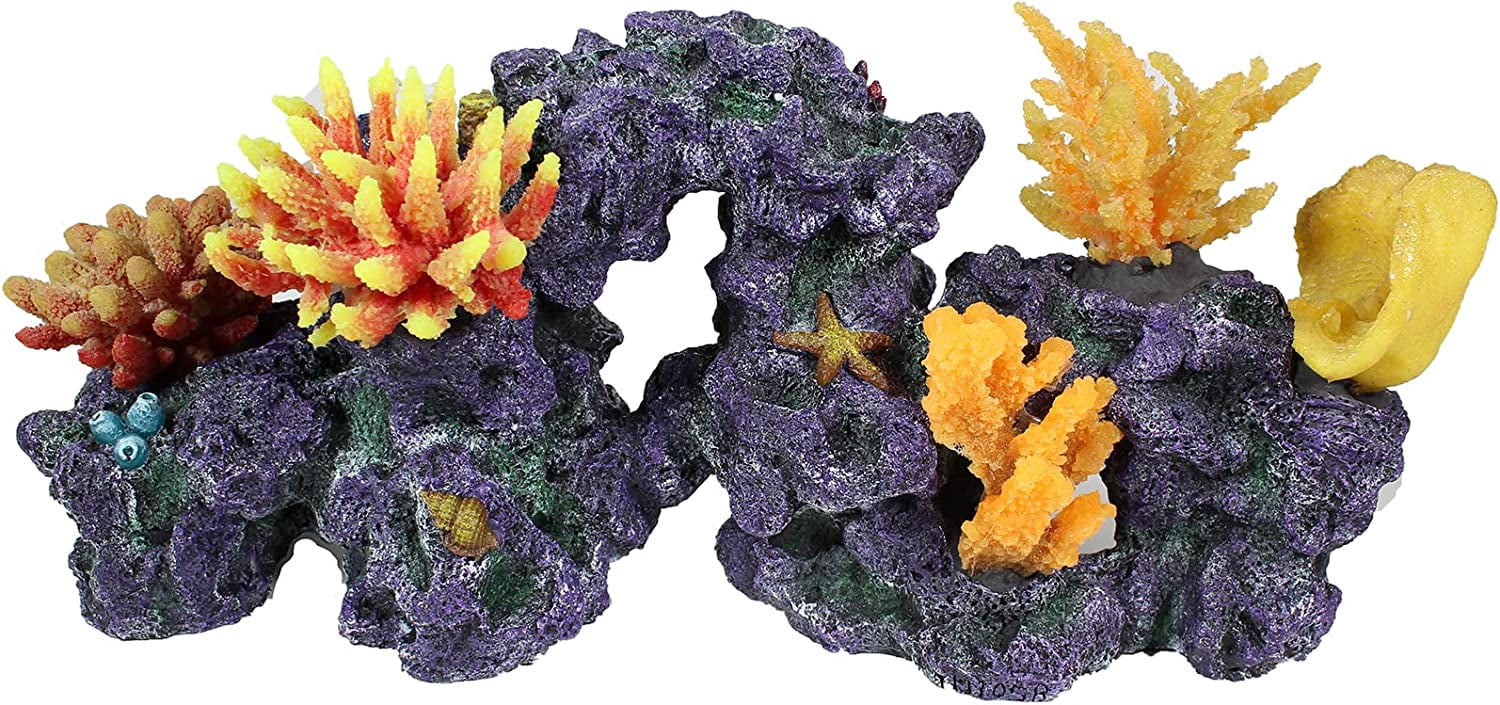Beautiful view of Selecting Safe Decoration For Saltwater Reef Tank