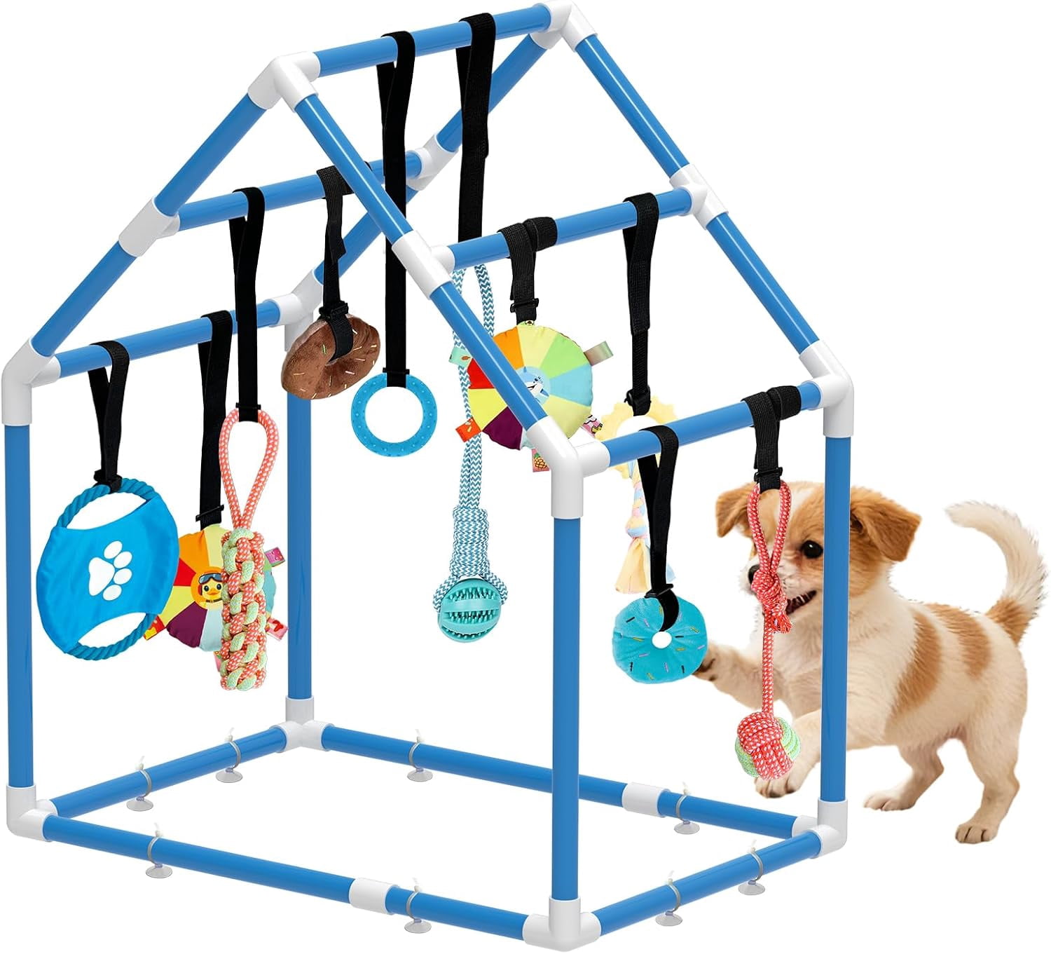 Play Gym for Small Dogs with PVC Frame, 10 Hanging Toys & Stretchy Ropes for Indoor Enrichment Activity