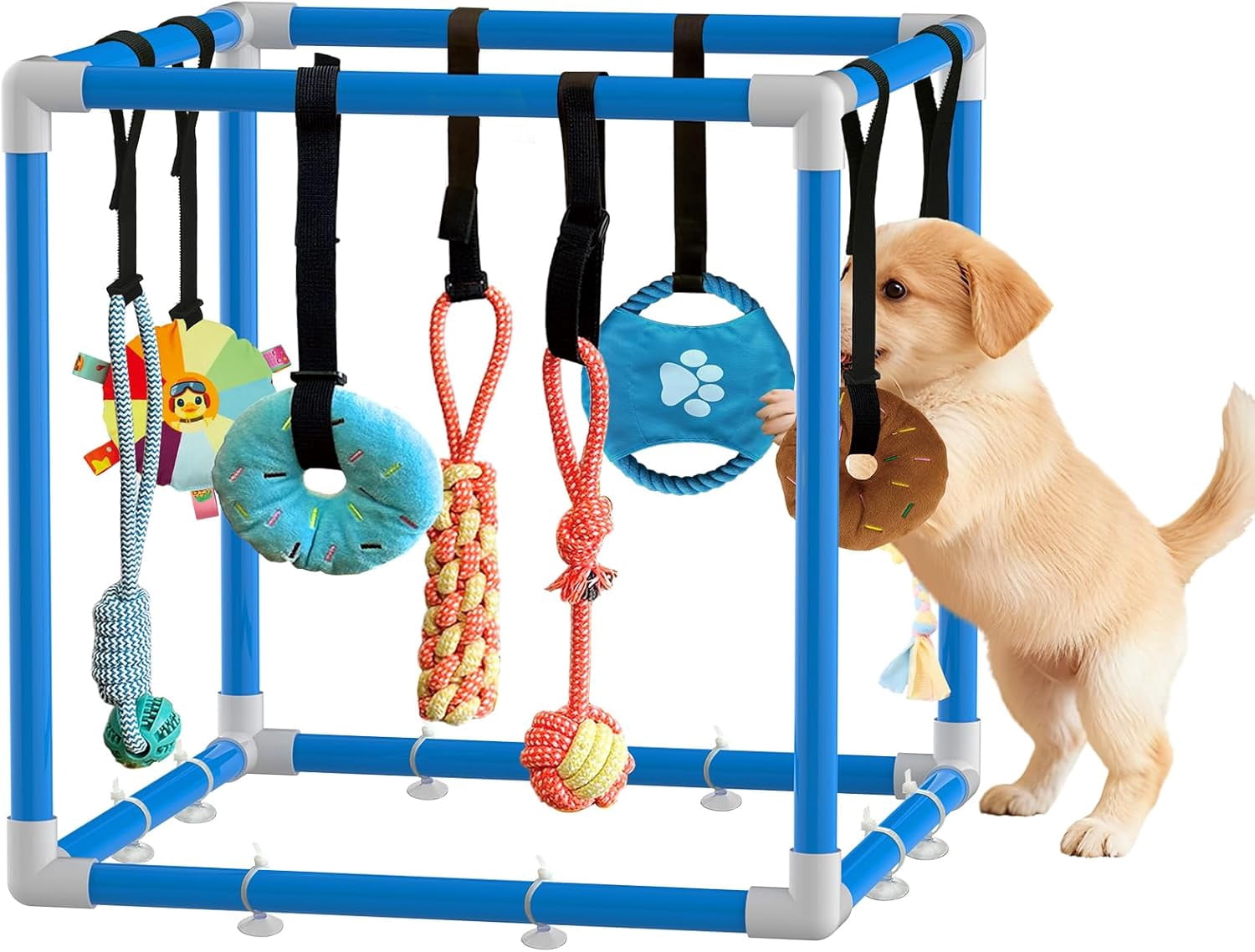 Play Gym for Small Dogs with PVC Frame, 10 Hanging Toys & Stretchy Ropes for Indoor Enrichment Activity
