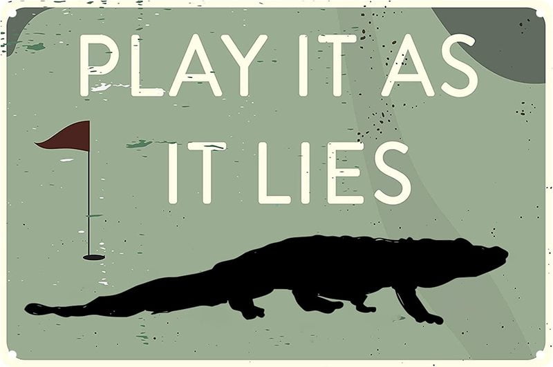 Exciting Play It As It Lies Pictures