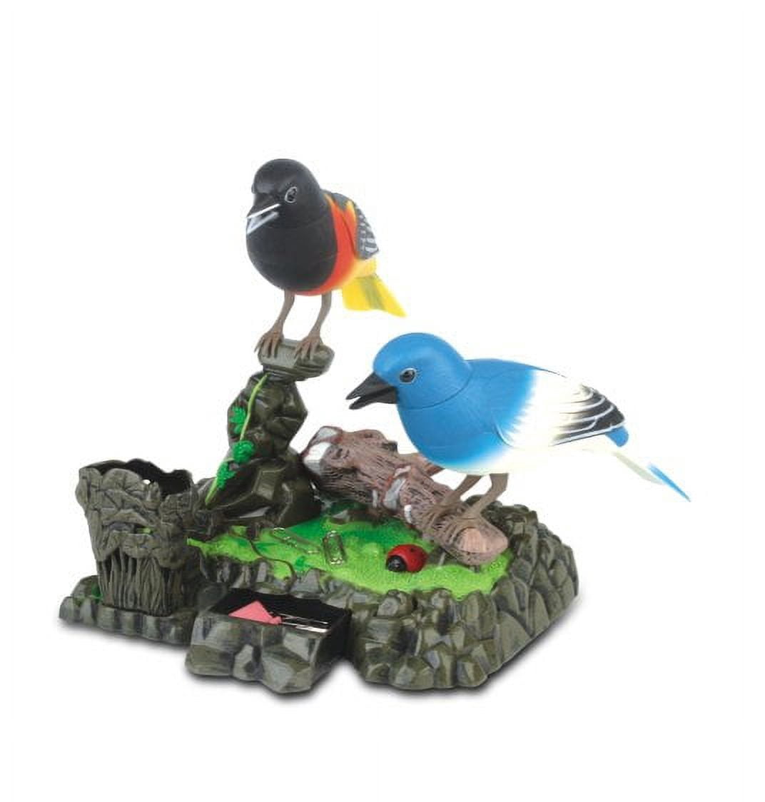 PlayWorld Music Magic Baltimore Orioles Set of Realistic Chirping Birds
