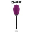 thumbnail image 1 of Playboy Pleasure - Petal - Vibrator - Plum, 1 of 5