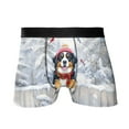 thumbnail image 1 of Playful Bernese Mountain Dog Welcomes Winter Snowy Day with Cardinal Bird All Over Print Boxer Briefs Underwear for Men Dad Berner Lover Gifts - 120177, 1 of 6