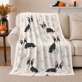 thumbnail image 1 of Playful Boston Terrier Puppies Cartoon Illustration Dog Lover, Playful Pet Portrait Pattern, Warm Flannel Blanket for Living Room and Bedroom, Dog Lovers Just Because Gift, Pet Lover Home Decor, 1 of 9
