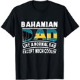 thumbnail image 1 of Playful Comfort Tee - Bahamian Dad Like A Normal Except Much Cooler Bahamas Papa T-Shirt, 1 of 4