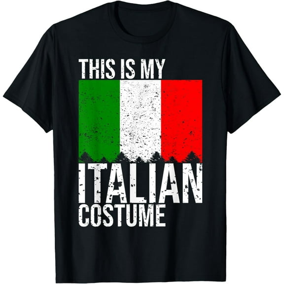 Playful Comfort Tee - Vintage This Is My Italian Flag Costume for Halloween T-Shirt