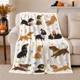 thumbnail image 1 of Playful Dachshunds With Bandanas Flowers And Hearts, Soft Flannel Blanket with Playful Animal Illustration Print, Housewarming Gift and Home Decor for Bedroom and Living Room, 1 of 7