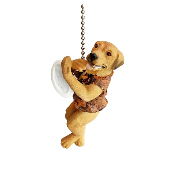 Playful Dog Fan Pull