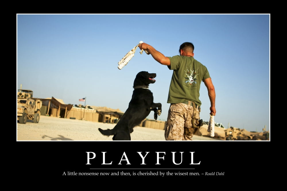 Playful Inspirational Quote and Motivational Poster Canvas Art - Stocktrek Images (34 x 23)
