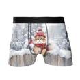 thumbnail image 1 of Playful Maine Coon Welcomes Winter Snowy Day with Cardinal Bird All Over Print Boxer Briefs Underwear for Men Dad Cat Lover Kitten Owner Gifts - 12017, 1 of 6