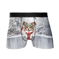 thumbnail image 1 of Playful Papillon Welcomes Winter Snowy Day with Cardinal Bird All Over Print Boxer Briefs Underwear for Men Dad Pap Butterfly Dog Lover - 12017, 1 of 6