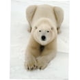 thumbnail image 1 of Playful Polar Bear Poster Metal Sign 8Inx 12In Metal Print 8x12 Square Adults Best Posters, 1 of 3