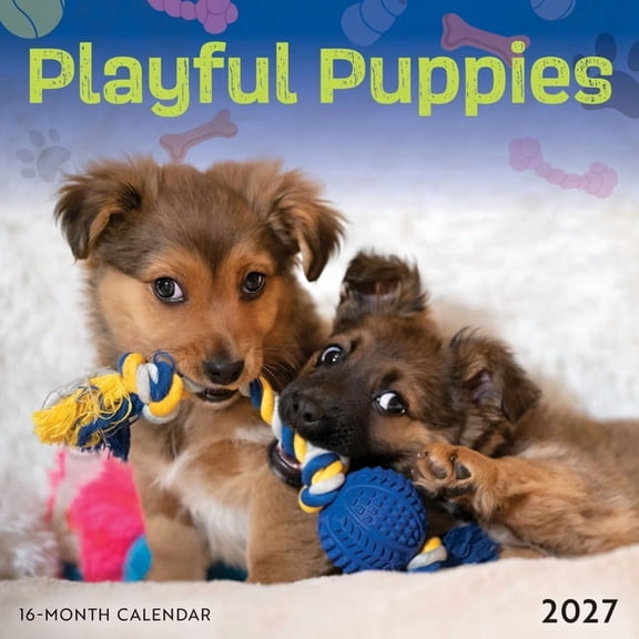 Playful Puppies 2027 Mini Wall Calendar, (Paperback)