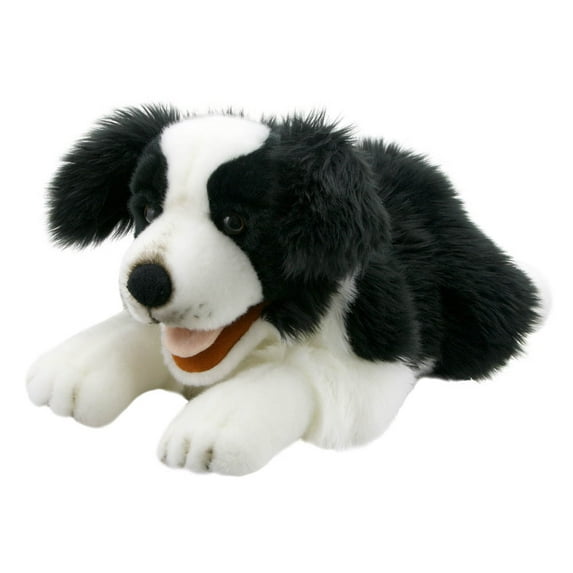 Border Collie Playful Puppy Playful Puppies: Border Collie, (Hardcover)