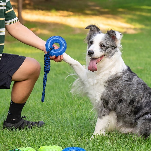 Playful Squeaky Spiky Ring Dog Toy for Chewers and Teething Puppies with Rope - Interactive Training Ring for Indoor Outdoor Suitable for Small to Large Dogs