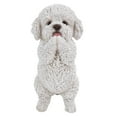 thumbnail image 1 of Playing Maltese Puppy, 1 of 2