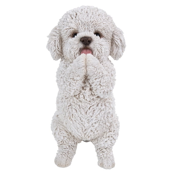 Playing Maltese Puppy