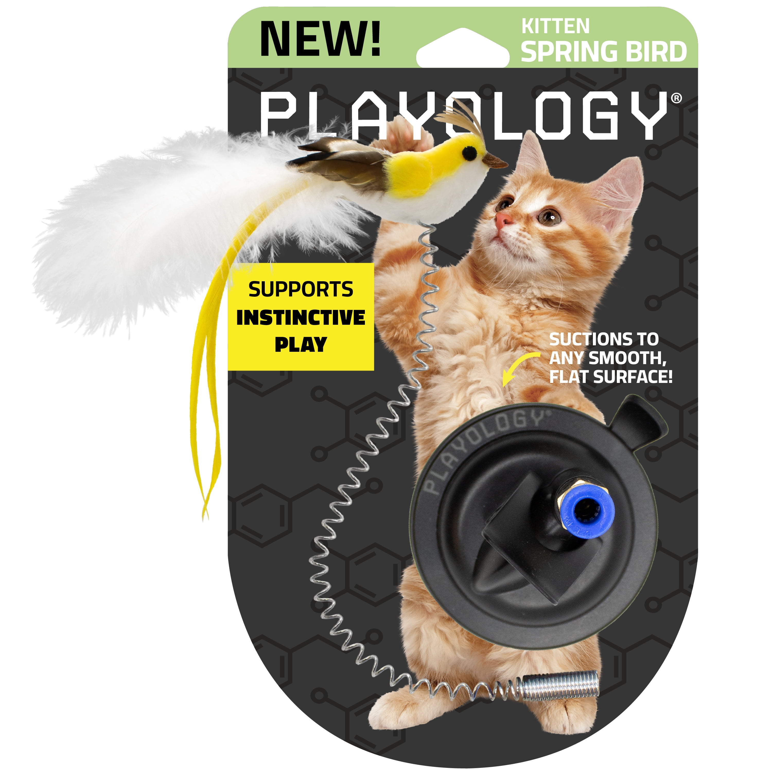 Can Cats Use Playology Dog Toys: Surprising Benefits Revealed