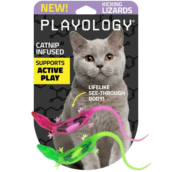 Playology Cat Toys | Catnip Infused Durable Rubber Lizard with Bugs, 2-Pack
