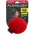 thumbnail image 1 of Playology Dog Toys | Plush Squeaky Ball, Beef Scented Toy - Jumbo, 1 of 6