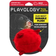 Playology Dog Toys | Puppy Toy Ball, Beef Scented Plush Toy, Medium