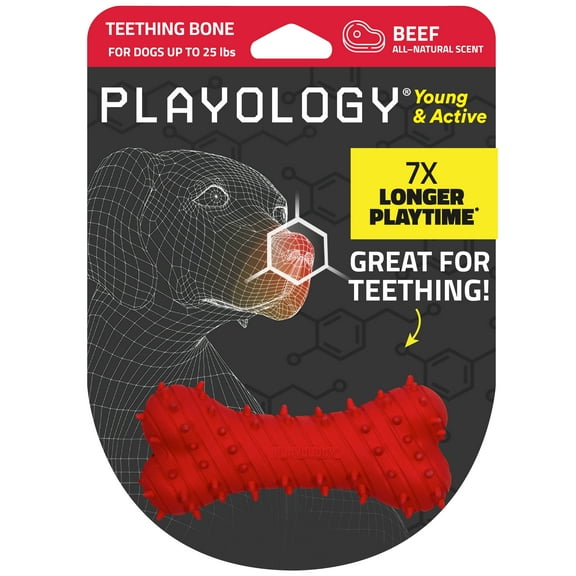 Playology Dog Toys | Puppy Teething Toy Bone, Beef Scented Toy, Small