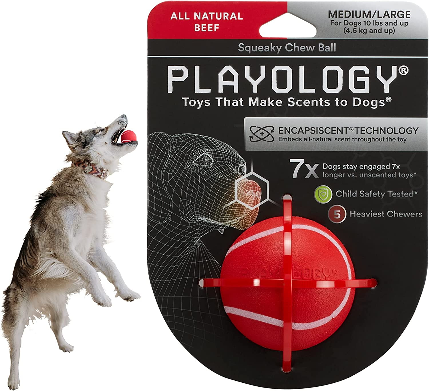 Playology Squeaky Chew Ball for Dogs - Engaging All Natural Beef Scent ...