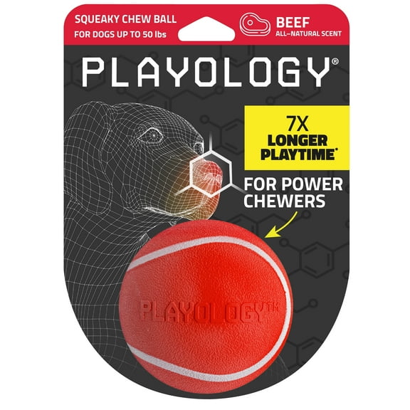 Playology Dog Toys | Squeaky Chew Ball, Beef Scented Toy - Medium
