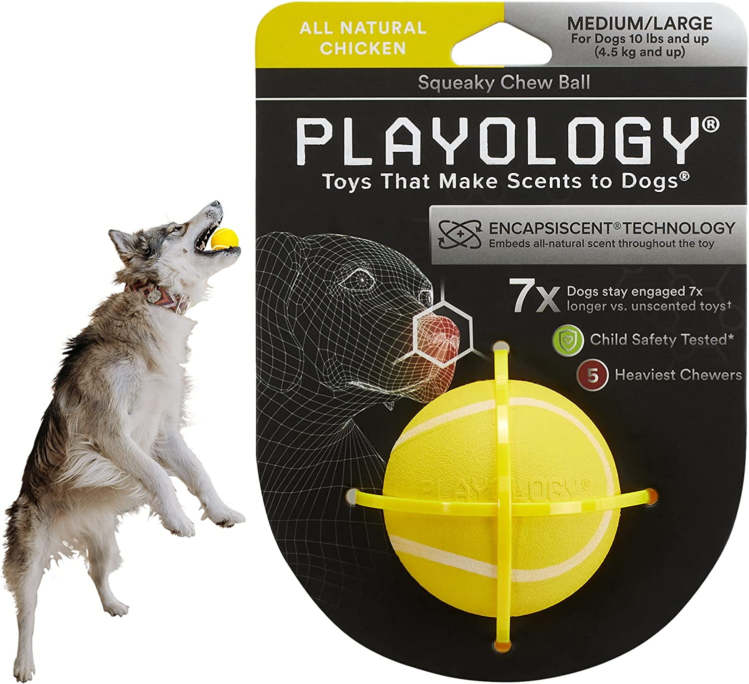Playology Squeaky Dog Toy Chew Ball All Natural Chicken Scent