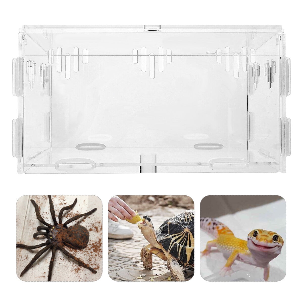 Playpen for Pets Terrariums Lizard Kennel Case Clear Container ...