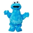 thumbnail image 1 of Playskool Friends Sesame Street Cookie Monster Mini Plush, Ages 12 Months and Up, 1 of 8