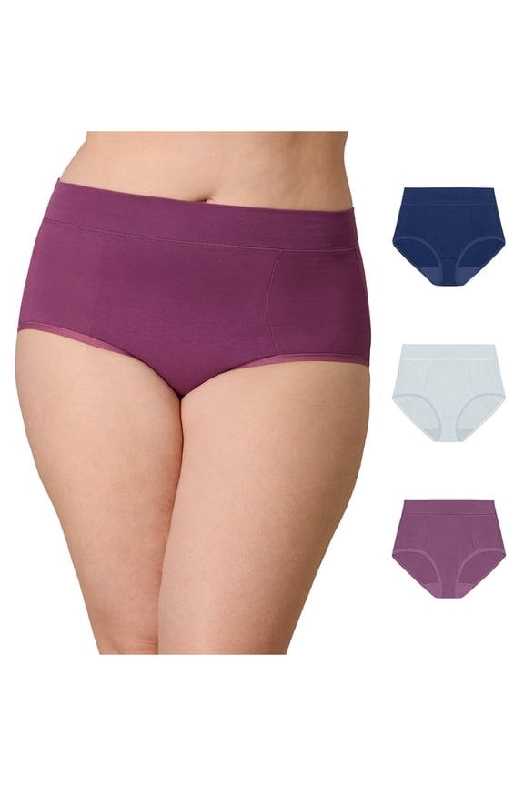 Tummy Smoothing Brief Underwear Pack, Moisture-Wicking, 3-Pack (Plus Sizes) Navy/Rain Cloud Heather/Plum Dandy 3XL Women's