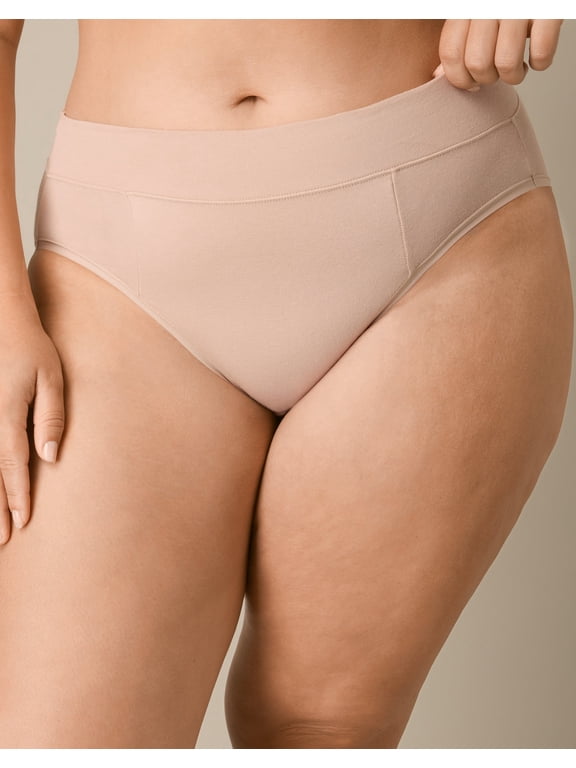 Tummy Smoothing High-Cut Brief Underwear Pack, 3-Pack (Plus Sizes) Heirloom White/Almond/Almond L Women's