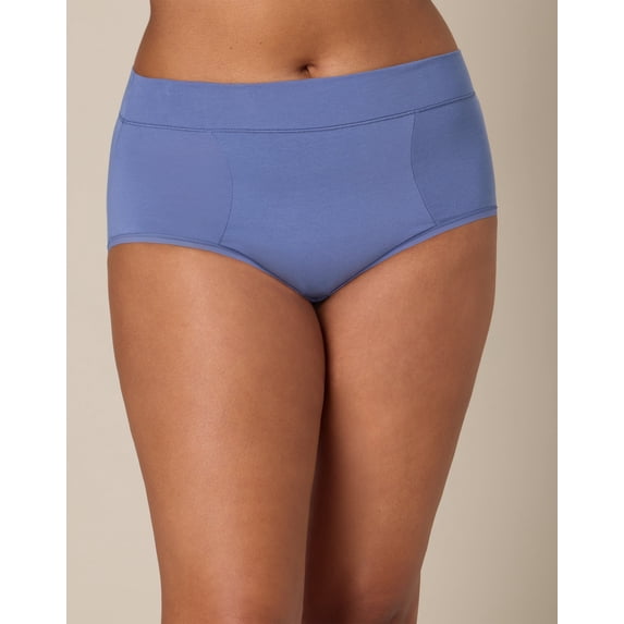 Playtex Tummy Smoothing Hipster Underwear Pack, Moisture-Wicking, 3-Pack Chateau Blue/Salty Pepper Grey/Future Lavender M Women's