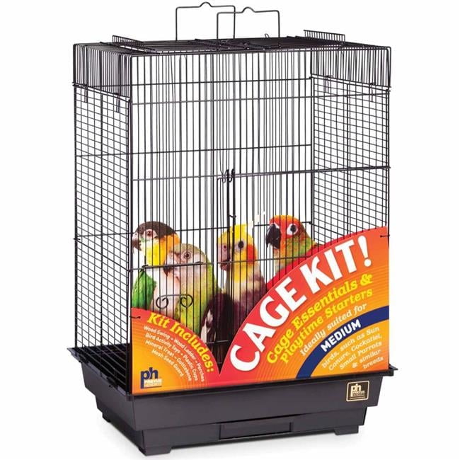 Black Powder-Coated Steel Medium Bird Cage Kit with Accessories