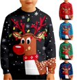 thumbnail image 1 of Playtopia Boys Sweatshirts, Crew‑Neck Reindeer Christmas‑Light Graphic Pullover, Fleece‑Lined Thermal Long‑Sleeve Polyester Top For Youth Big‑Kids,1pc,Sizes 110‑160, 1 of 5