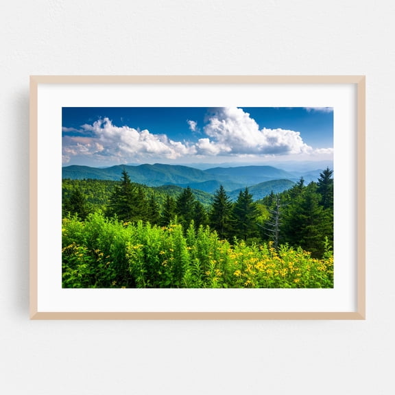Pleasantries - Blue Ridge Parkway North Carolina Photography Nature Landscape Mountain Forest Botanical Flowers Rural Oak Framed Wall Art Print 24 x 36 inches