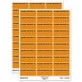 thumbnail image 1 of Please Deliver To Blank Letter Package Mail Sticker Set - Orange - Matte Finish - 1.75" Medium, 1 of 7