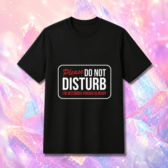 Please Do Not Disturb Introvert Unisex T-Shirt, S-5XL