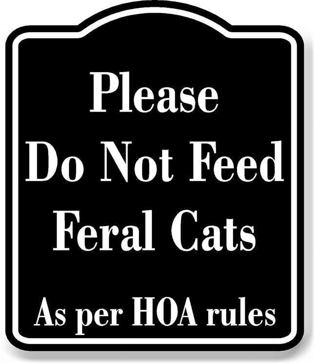 What can you top not feed cats